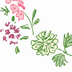 Pen and ink of sketch of flowers in pinks and yellow converted to digital image for logo
