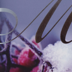 Text and image design - swirly silver 'M' with frosted holly berries.