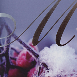 Detail from menu cover design