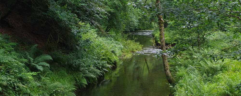 river1