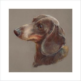 Arthur the dachshund blank greetings card