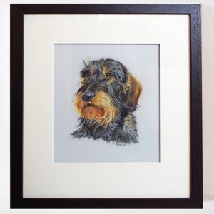 Original pastel portrait of Arthur the Dachshund with bespoke frame