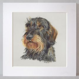 Print of pastel portrait of Arthur the Dachshund with mount