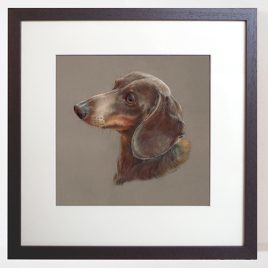 Original pastel portrait of Brownie the Dachshund with bespoke frame