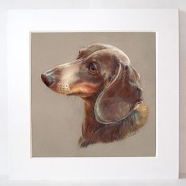 Brownie the Dachshund Print