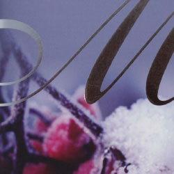 Text and image design - swirly silver 'M' with frosted holly berries.