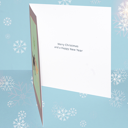 Message reads 'Merry Christmas and a Happy New Year.'