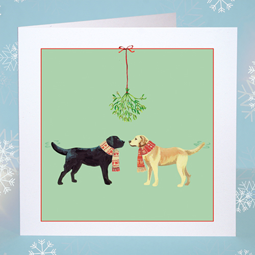 Labradors in Scarves Christmas Card Original Christmas card design featuring a yellow labrador and a black labrador in Christmas scarves under the mistletoe. Green background.