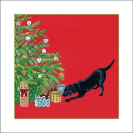 Front of original Christmas card design featuring a black labrador dog looking for her present under the Christmas tree. Red background.