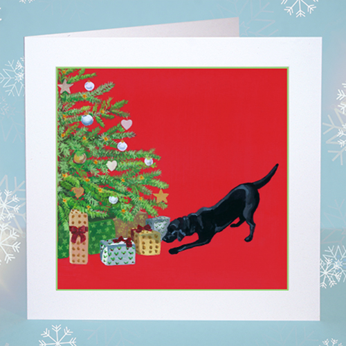 Is There a Present for Me? CHristmas Card Original Christmas card design featuring a black labrador dog looking for her present under the Christmas tree. Red background.